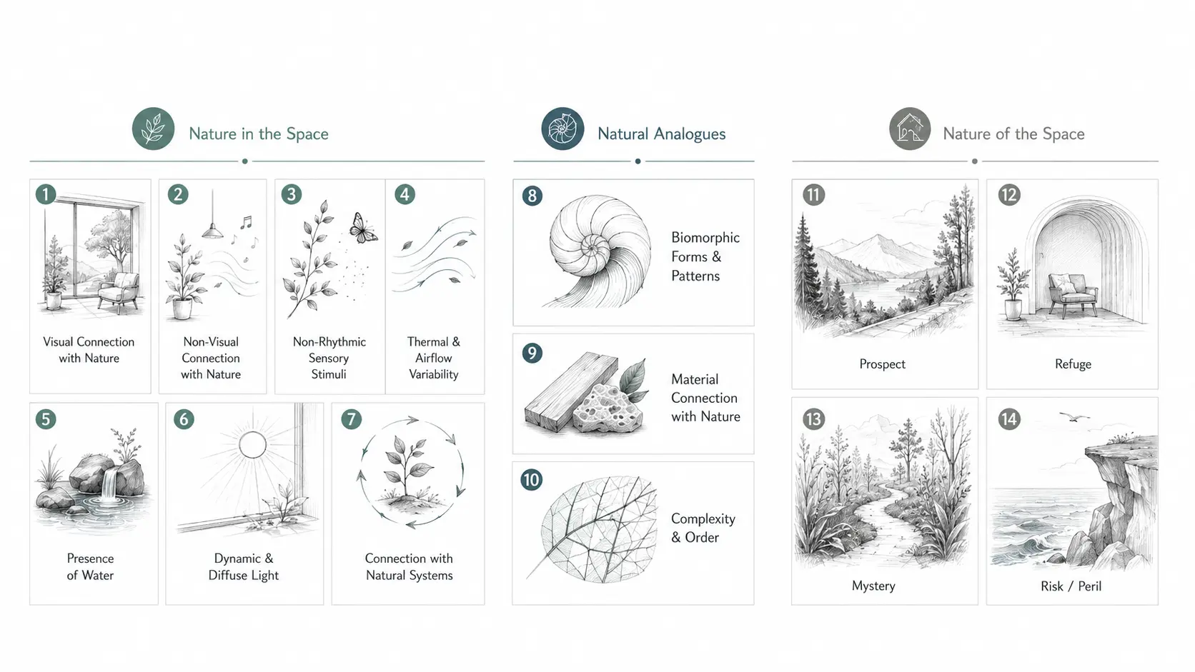 Diagram showing the 14 patterns of biophilic design grouped into Nature in the Space, Natural Analogues, and Nature of the Space.