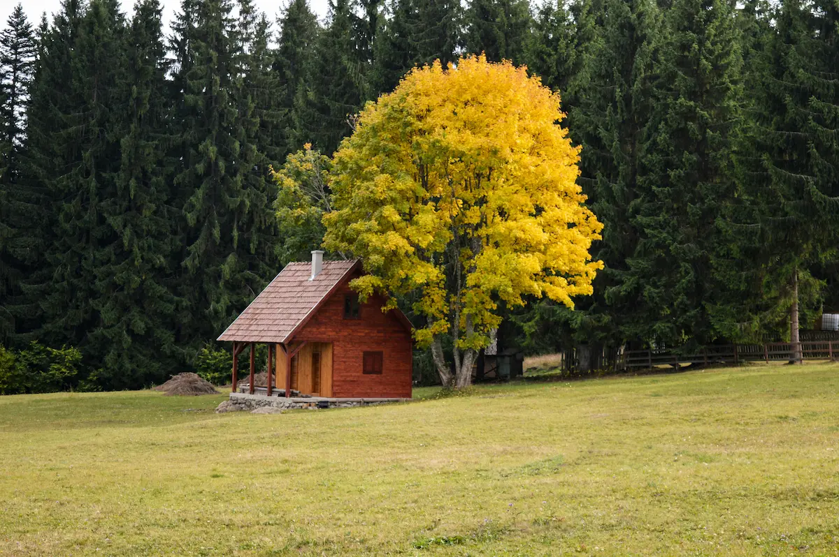 A tiny brown wooden house nestled in a natural setting.