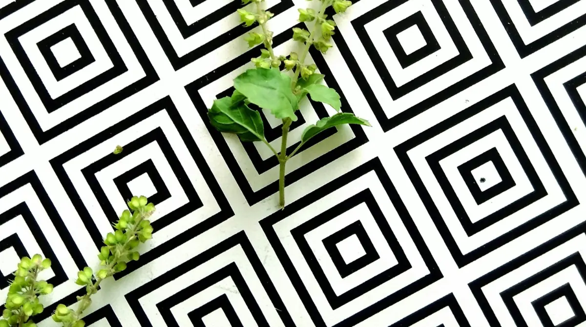 A striped optical illusion rug that visually elongates a room, creating the illusion of more space.