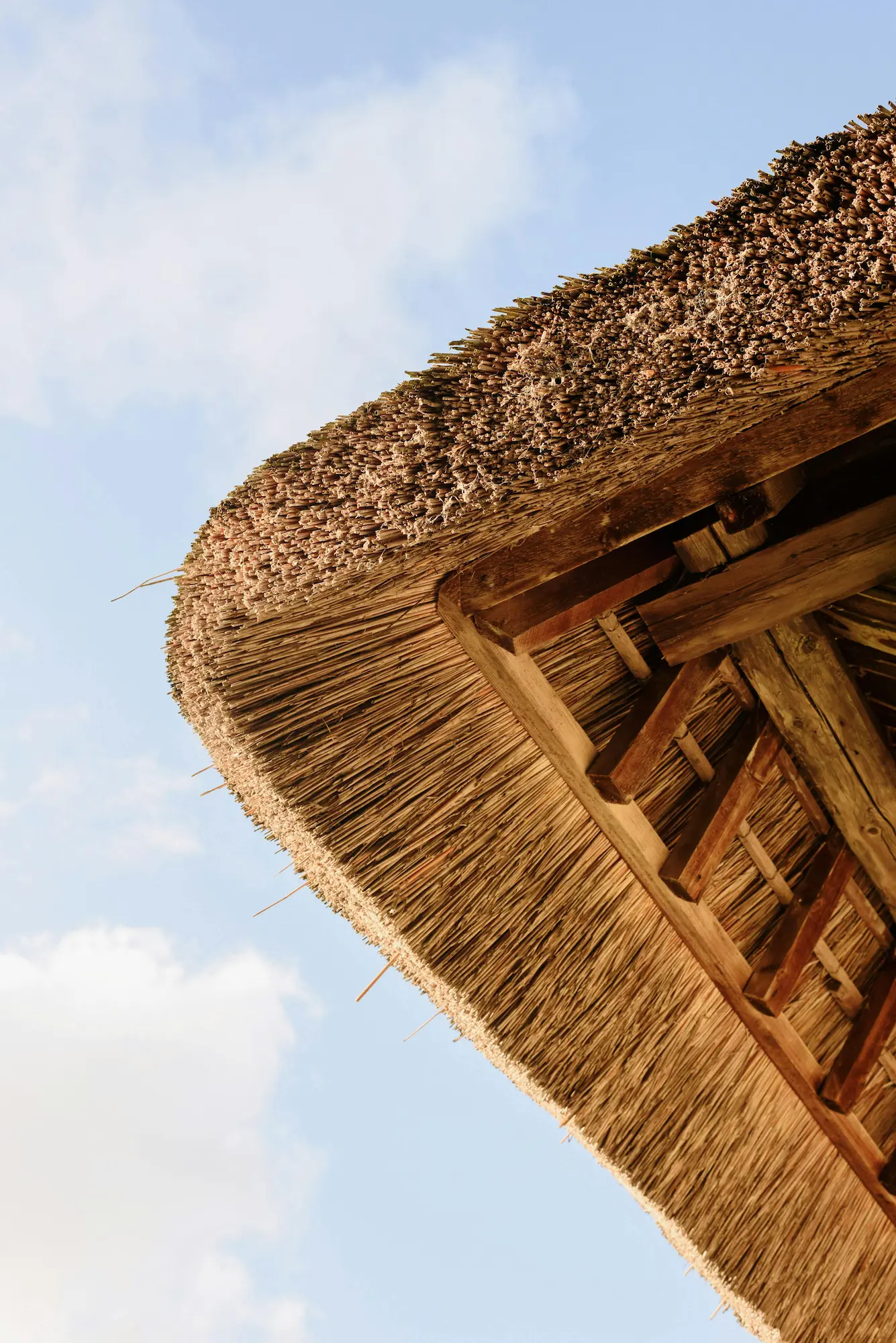 Houses with thatched roofs, built using traditional materials for natural insulation and rustic charm.