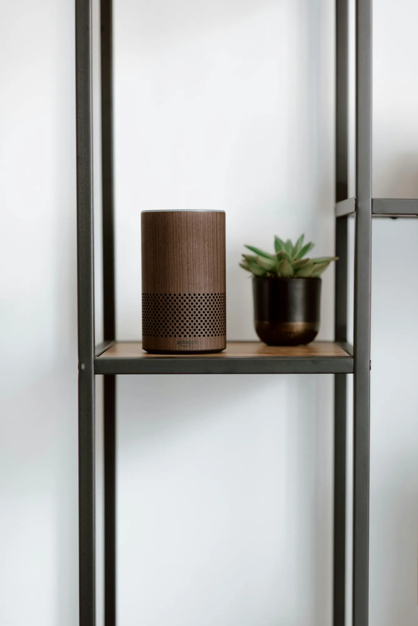 Modern vertical shelves with a small plant and decorative piece, offering a sleek, organized display that enhances vertical space.