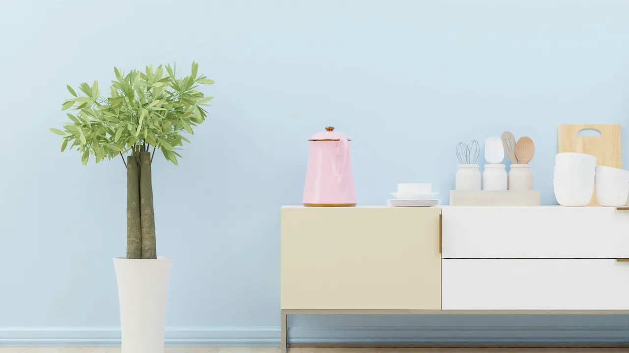 green plant on white wooden table with minimalist design