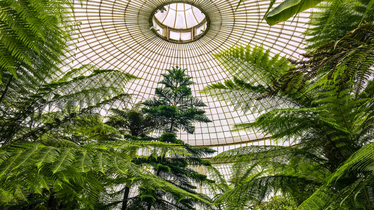 Conservatory roofs and replacement options.