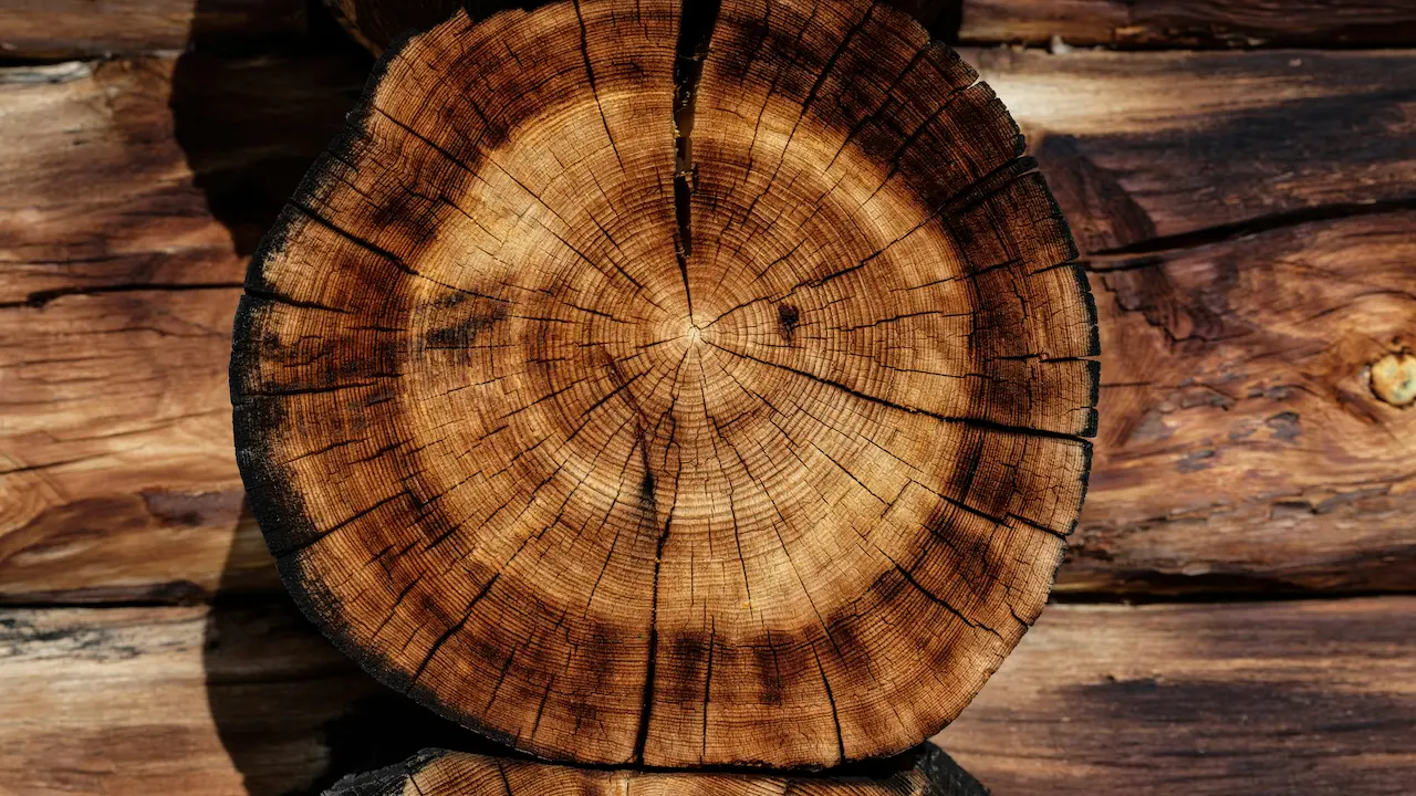 A beautifully cut raw oak tree trunk, showcasing rich natural grain and rugged texture.