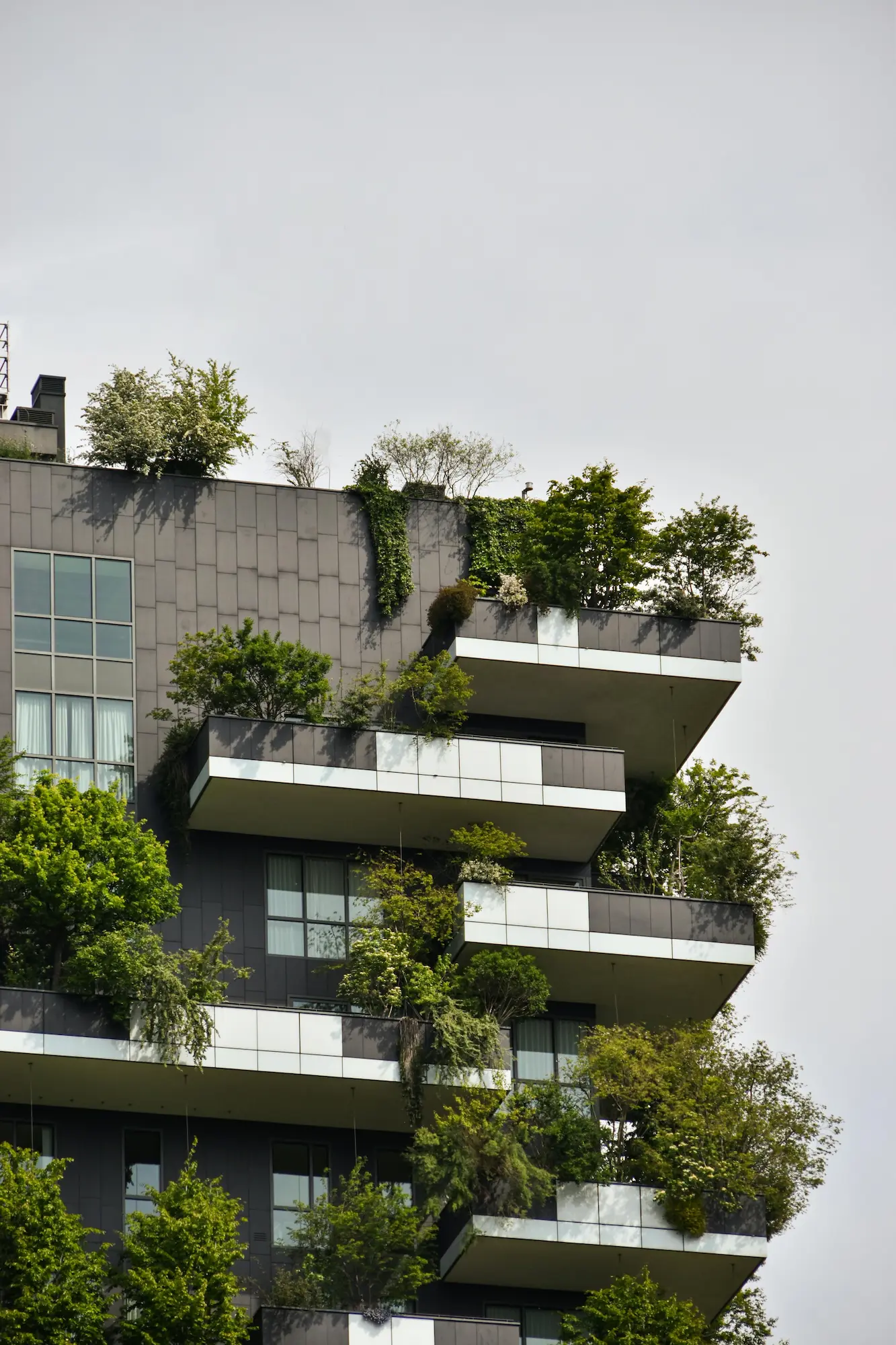 Lush green plants on balconies of a modern building, enhancing aesthetics and sustainability.