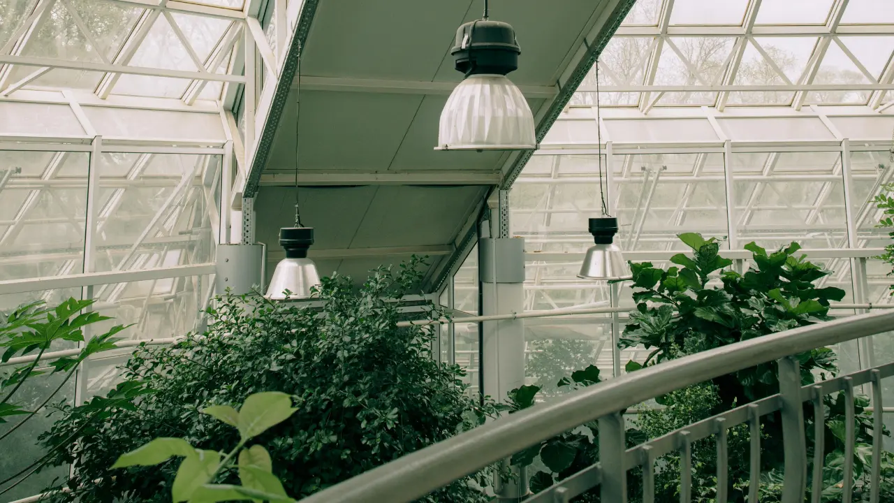 A white drop light above green plants inside a greenhouse, showcasing energy-efficient lighting and sustainable plant care practices.