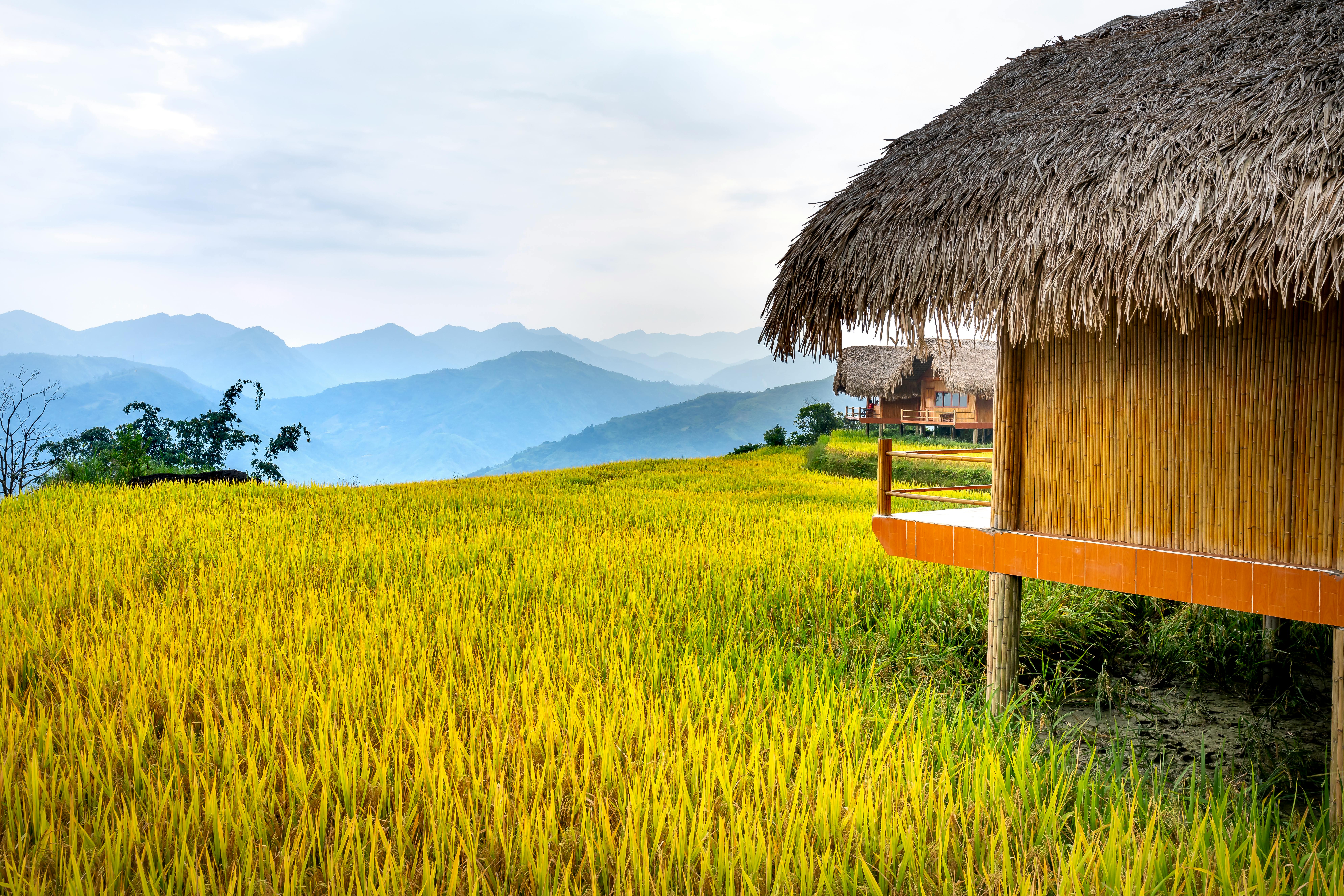 Bungalows near grassy hills in a village, featuring fancy mud and bamboo huts with rustic charm.