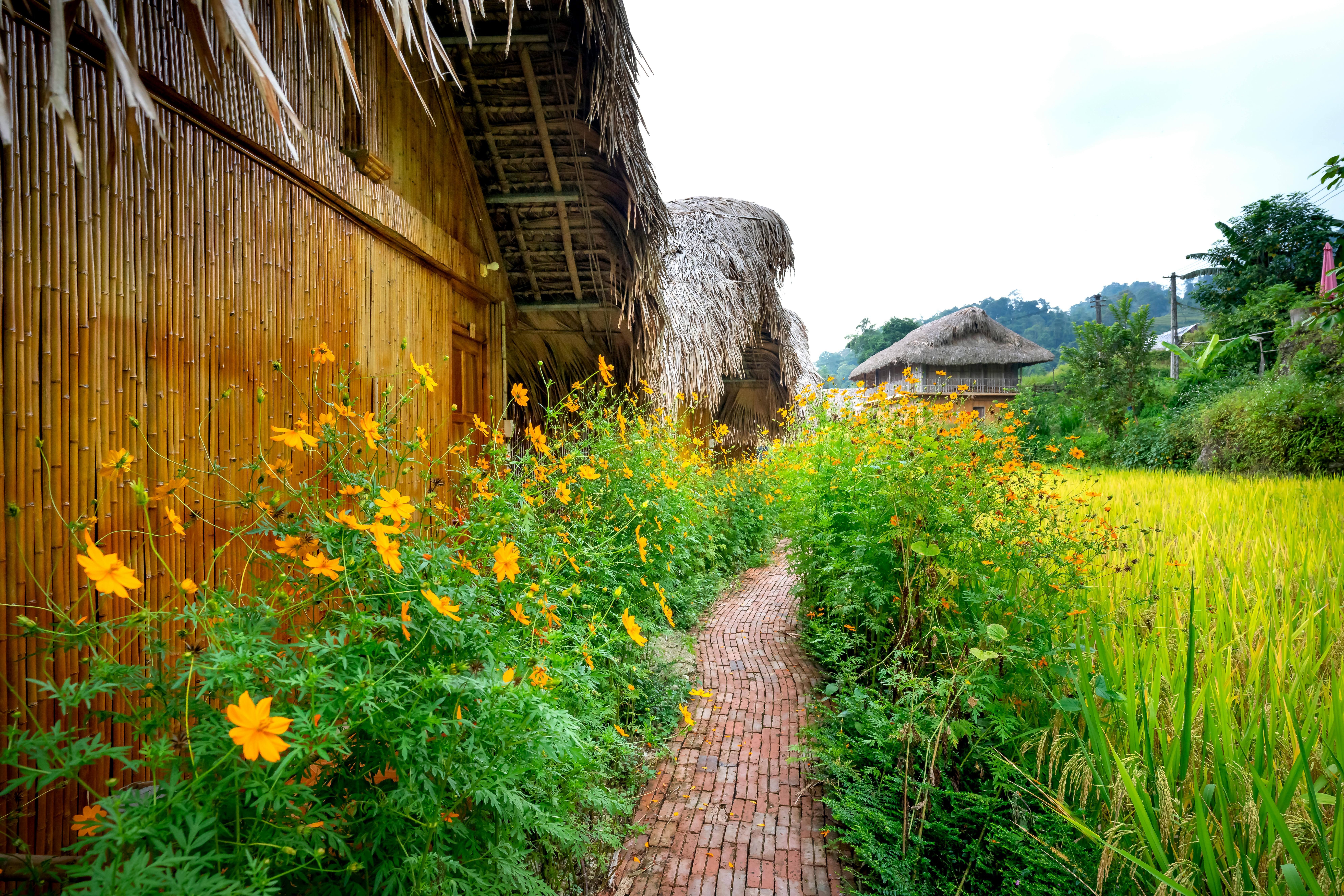 Settlement with small mud and bamboo huts in the countryside, blending with the natural landscape.