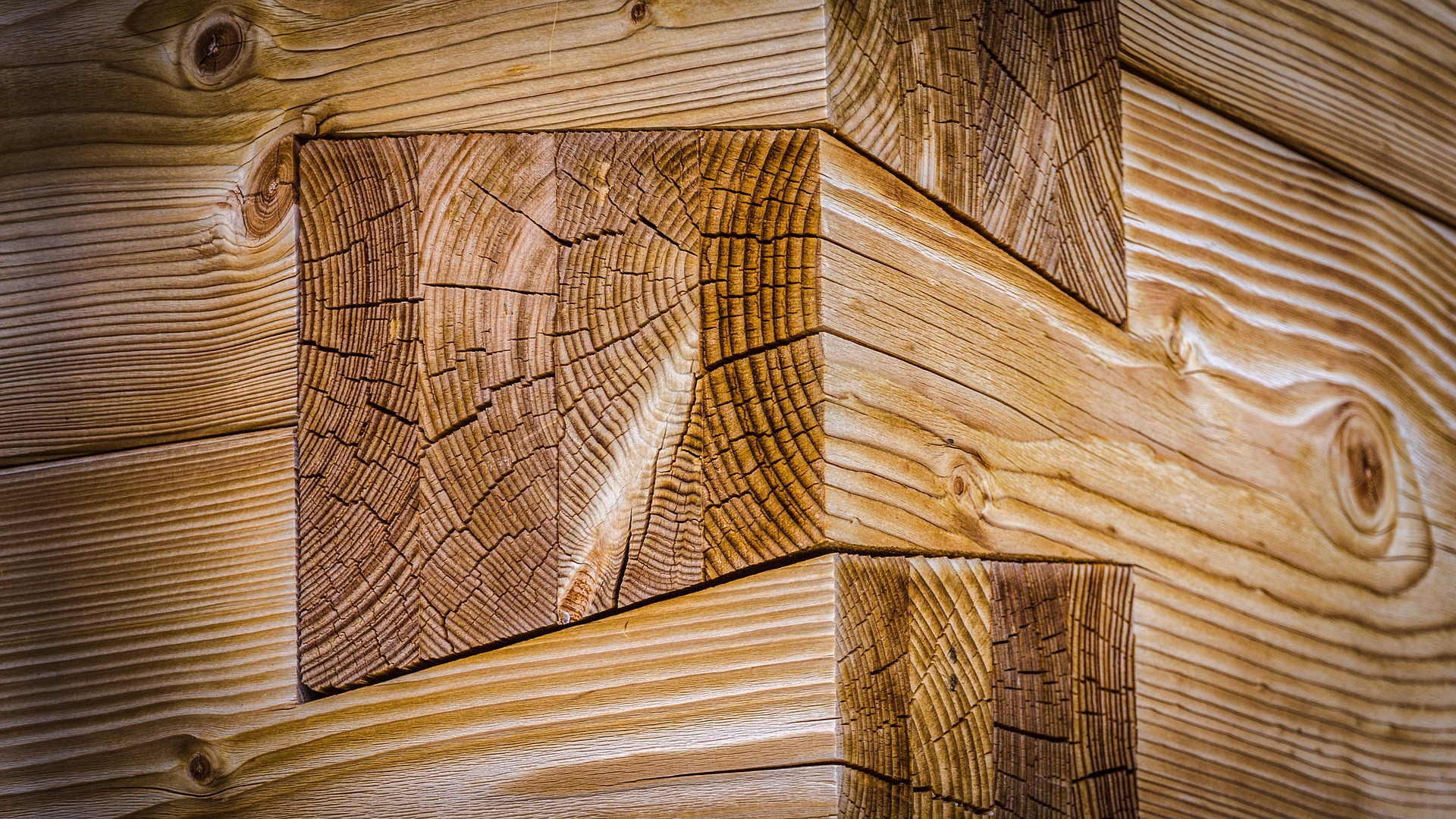 A precisely crafted dovetail joint, showcasing strong and seamless wood connection in traditional woodworking.