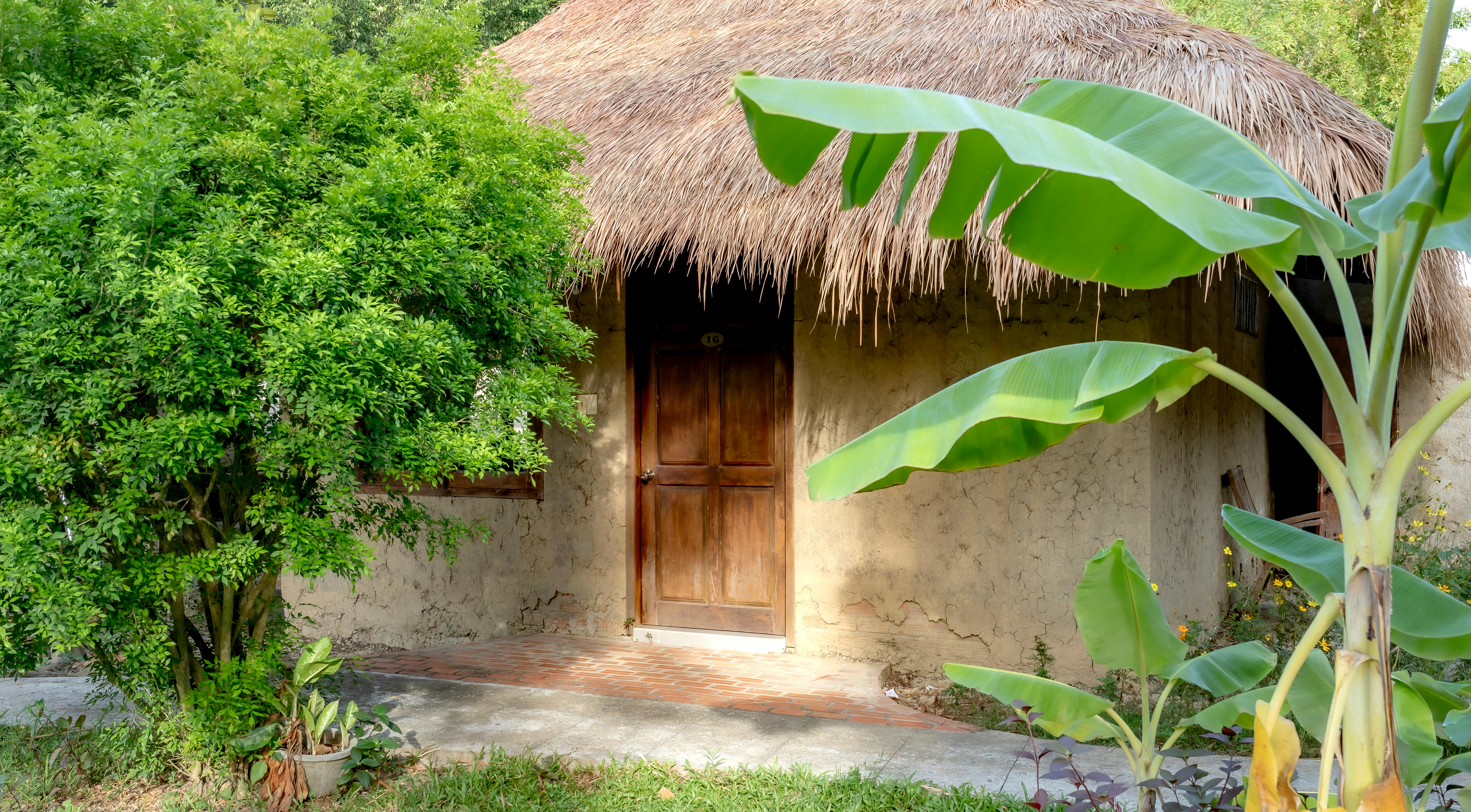 House with a thatched roof in a forest, built with mud and bamboo, blending naturally with the surroundings.