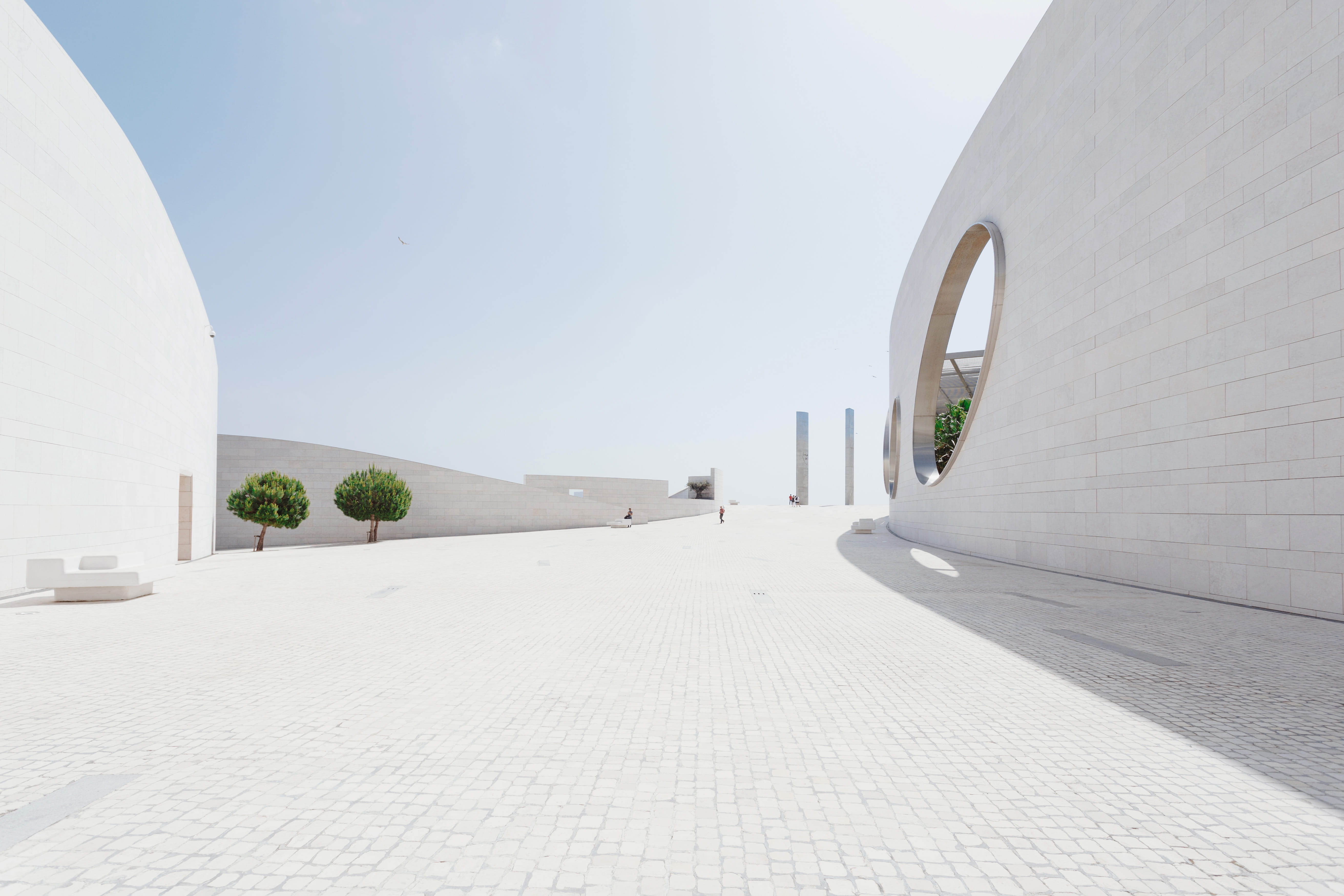 Minimalist all-white building with organic shapes and smooth lines.