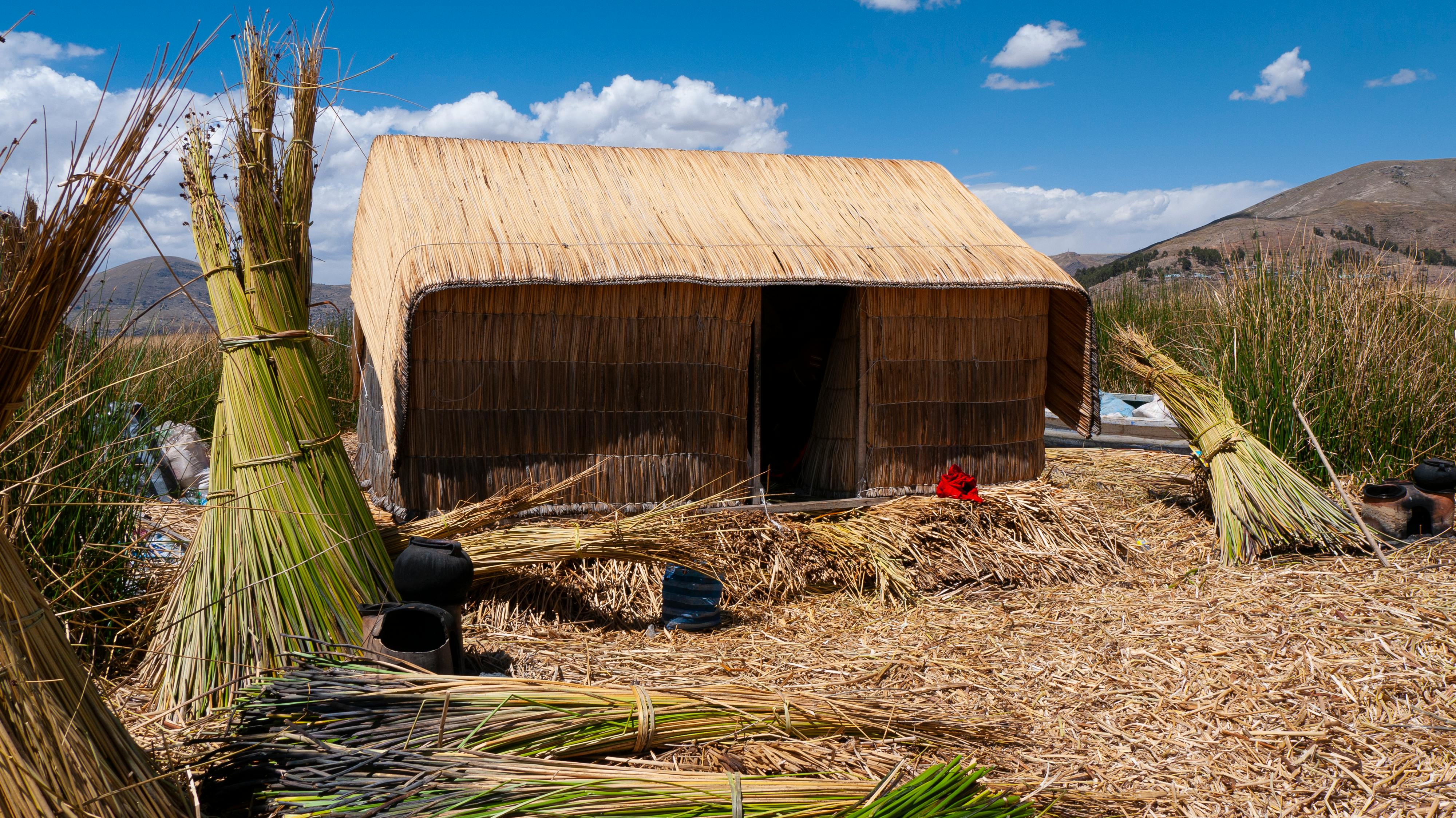 Roof of a mud and bamboo hut in a rural area, showcasing traditional building techniques with natural materials.