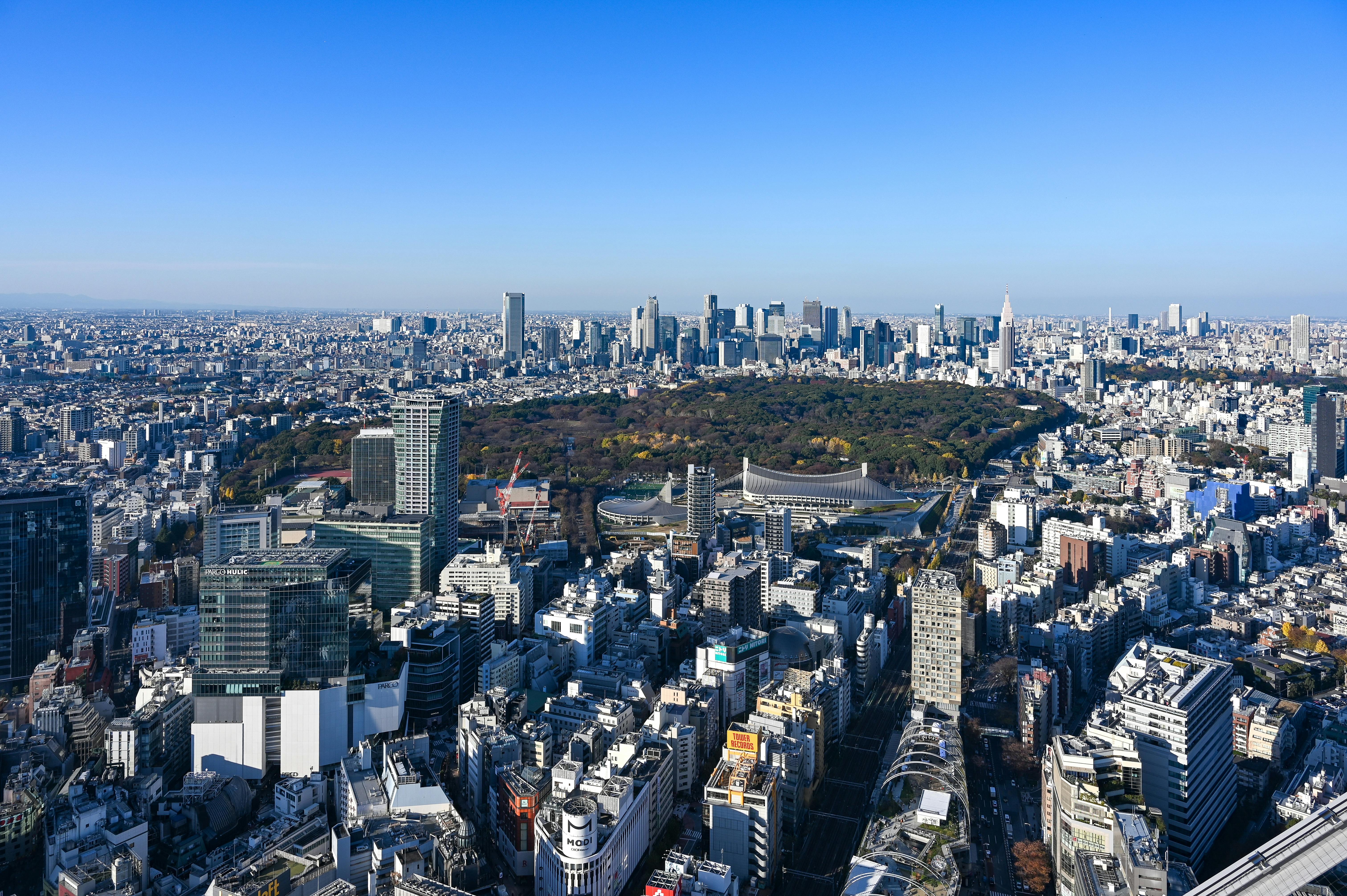 Cityscape of Tokyo showcasing modern architecture and urban density.