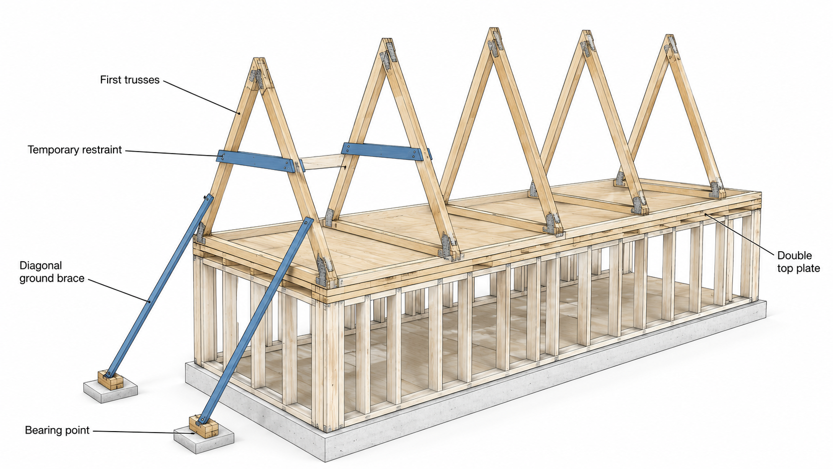 Early roof trusses stabilized with temporary restraint, diagonal ground braces, double top plates, and bearing points.