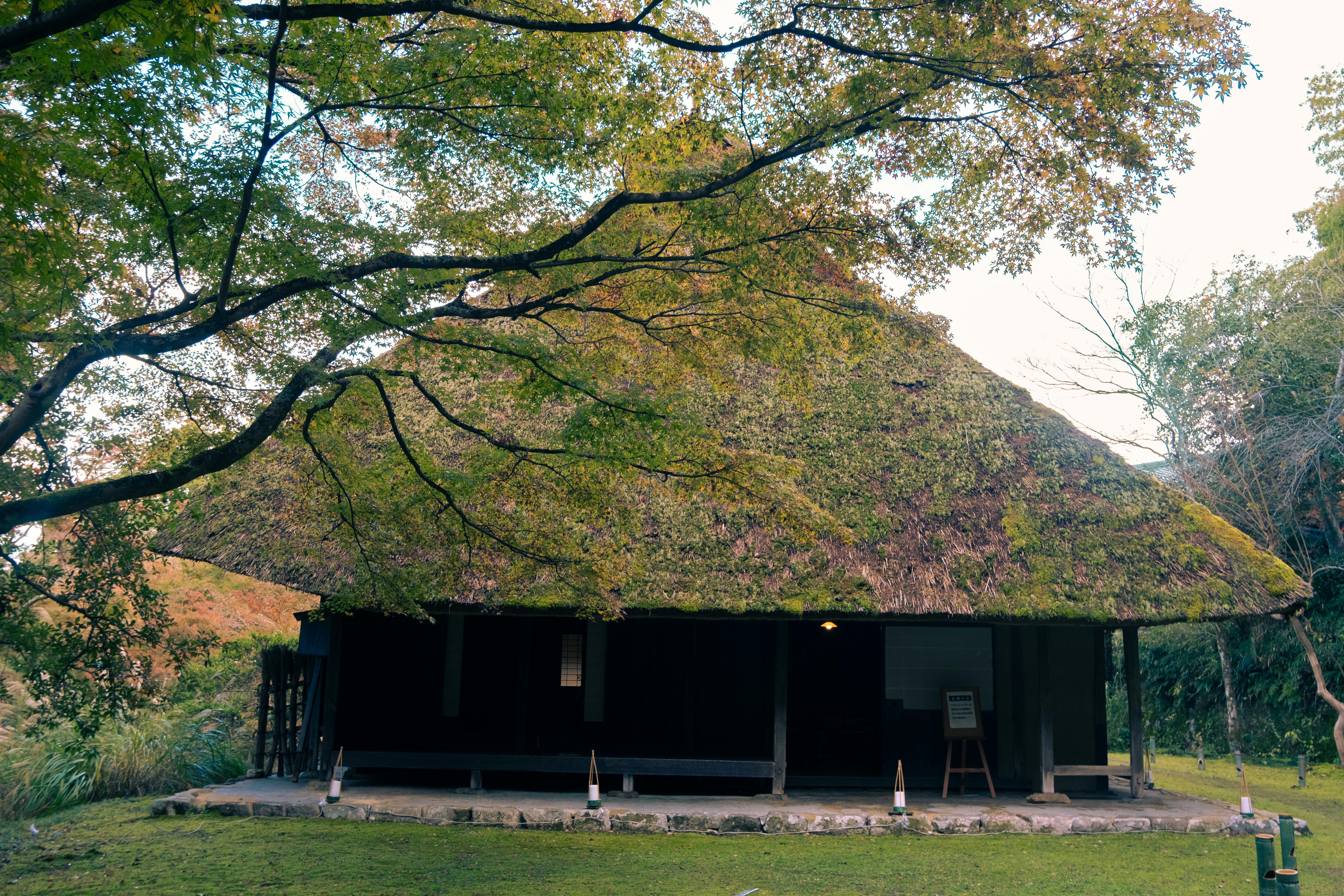 Exterior view of a traditional Japanese hut with a thatched roof in a park in Ayabe, Kyoto.