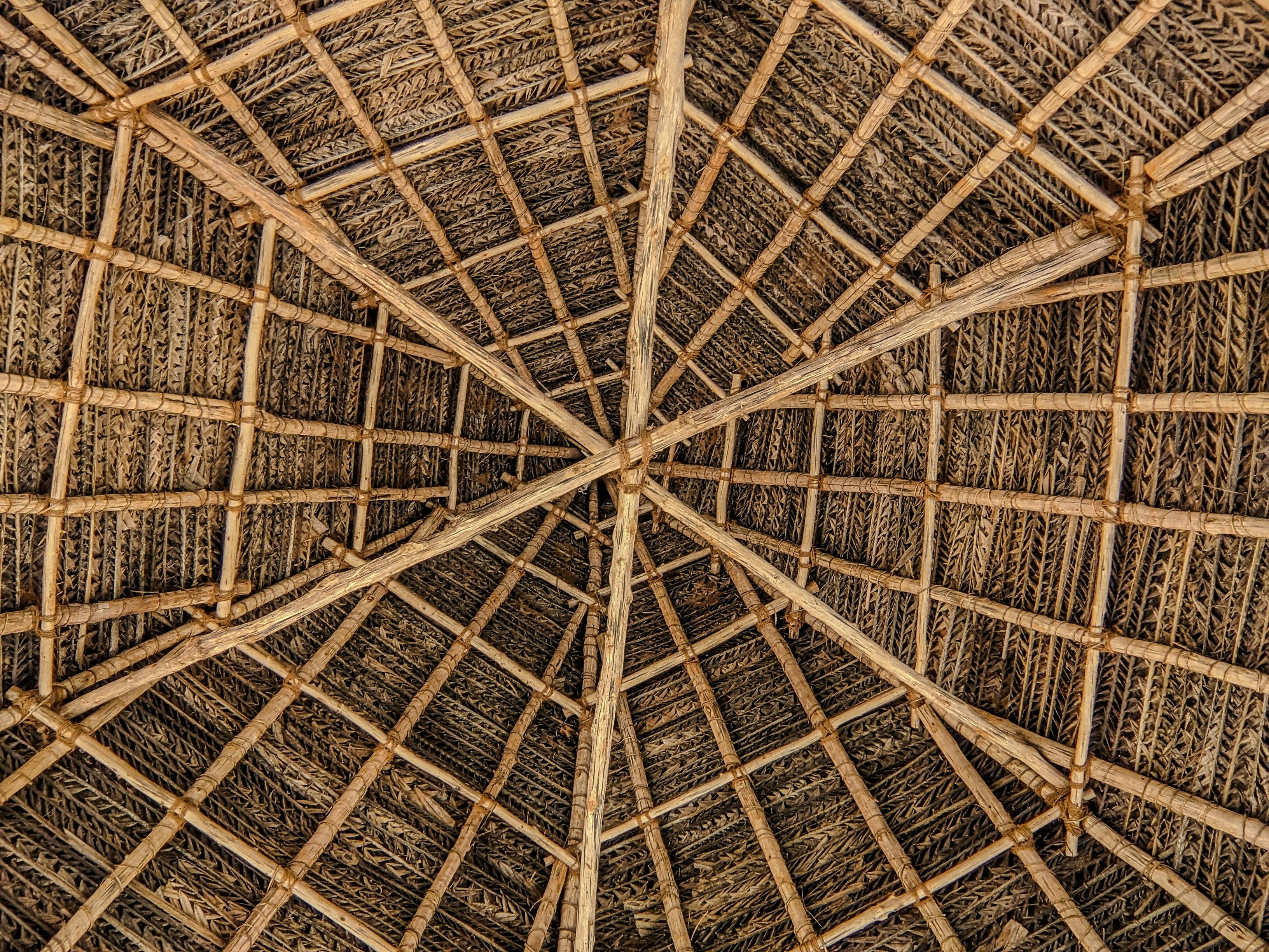 Low-angle shot of a mud and bamboo ceiling in Willemstad, Curaçao, highlighting the natural building materials.