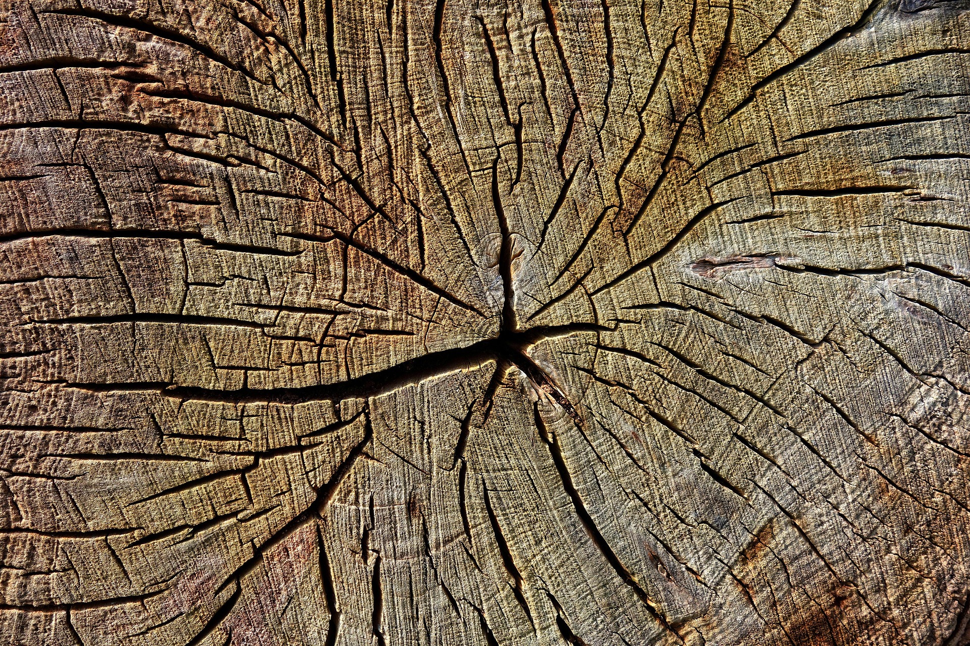 Illustration of wood’s chemical properties, showing its natural composition and structure.