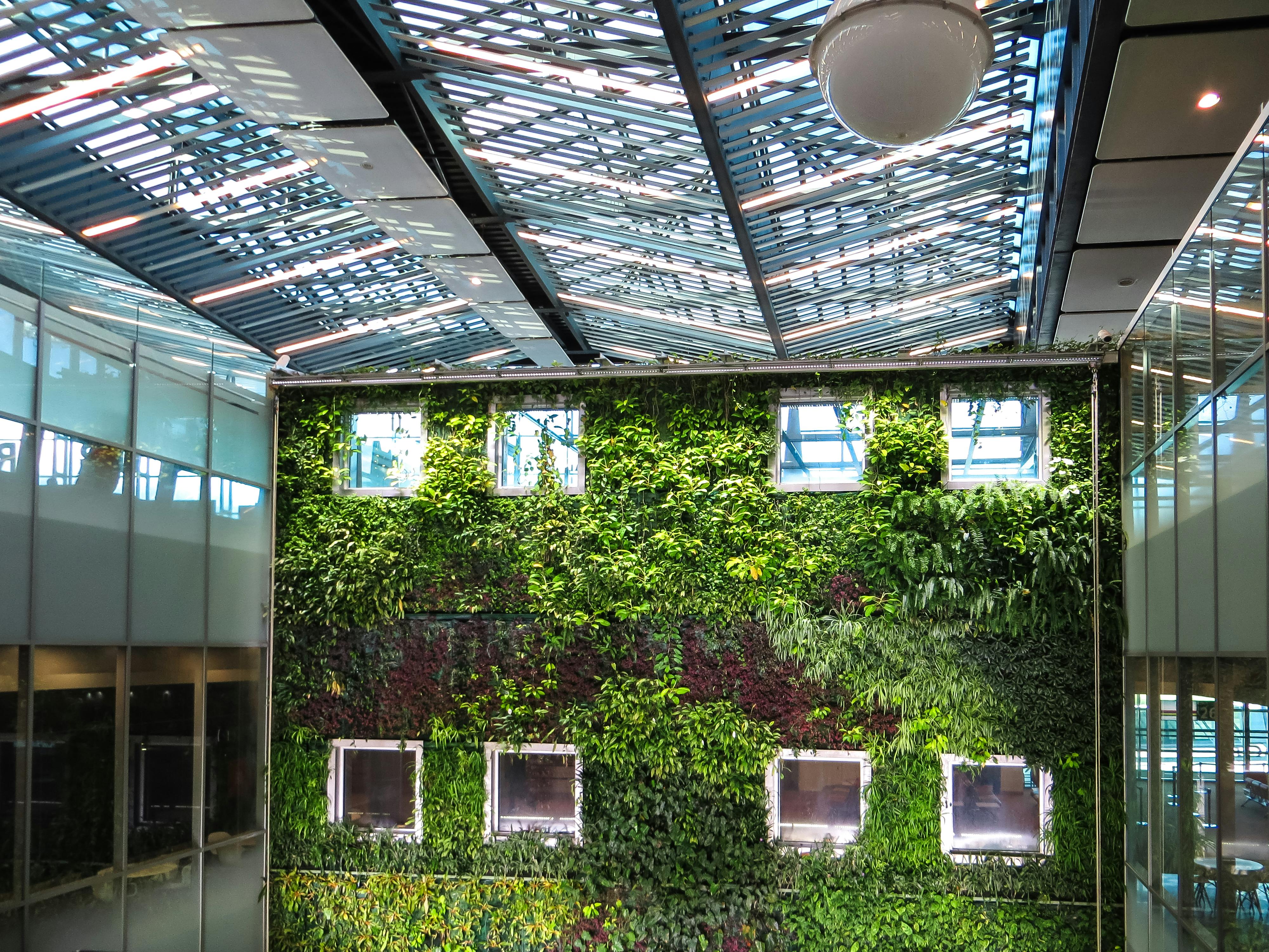 Interior space with sunlight streaming through a light-admitting roof and walls covered in thriving plants.