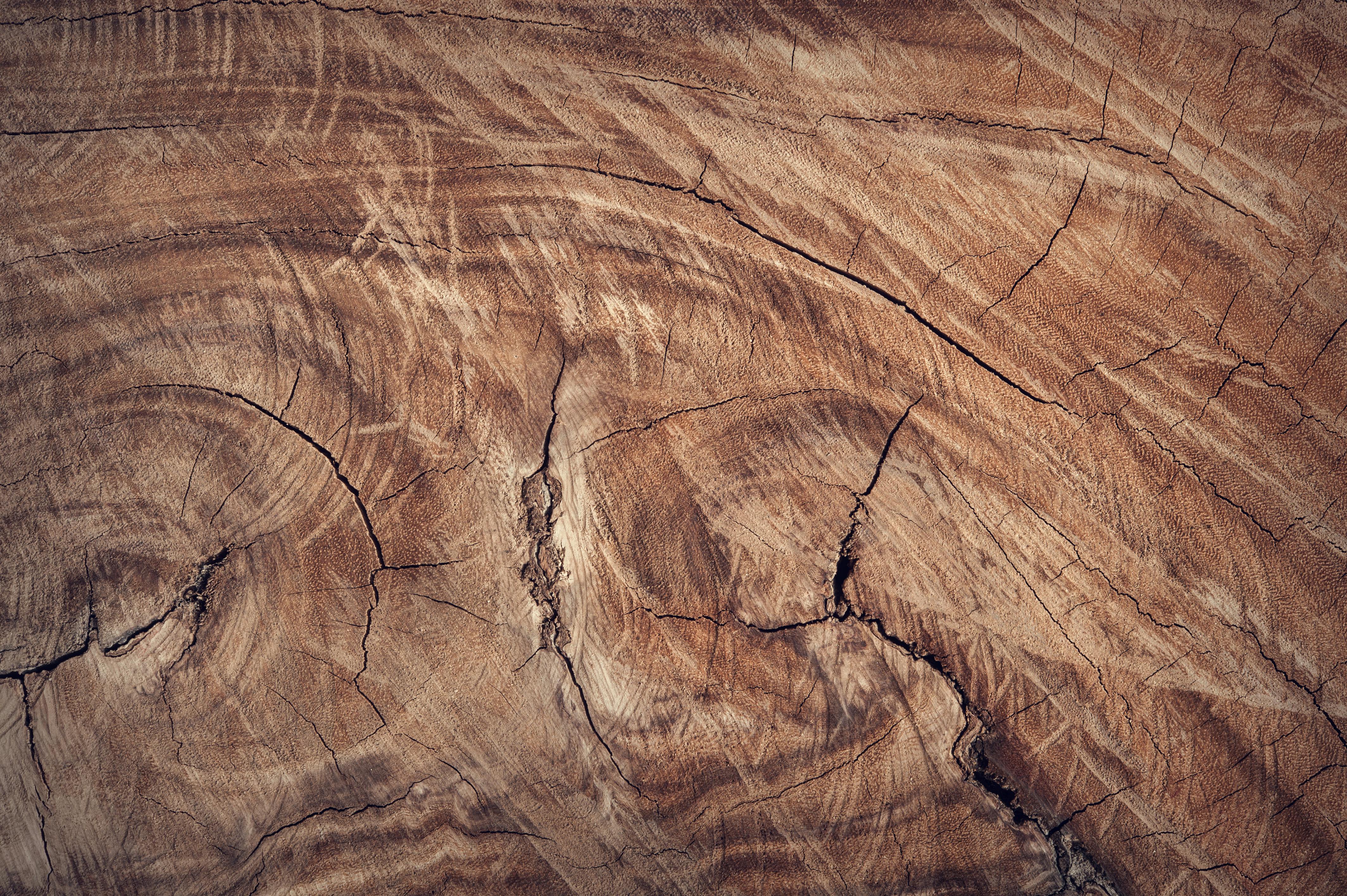 Different types of wood used in construction and design.