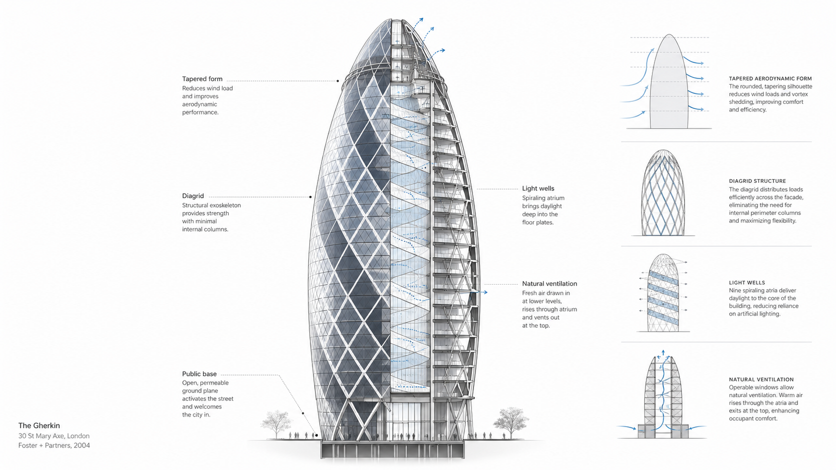 Architectural cutaway diagram of the Gherkin showing its tapered form, diagrid structure, light wells, natural ventilation, and public base.