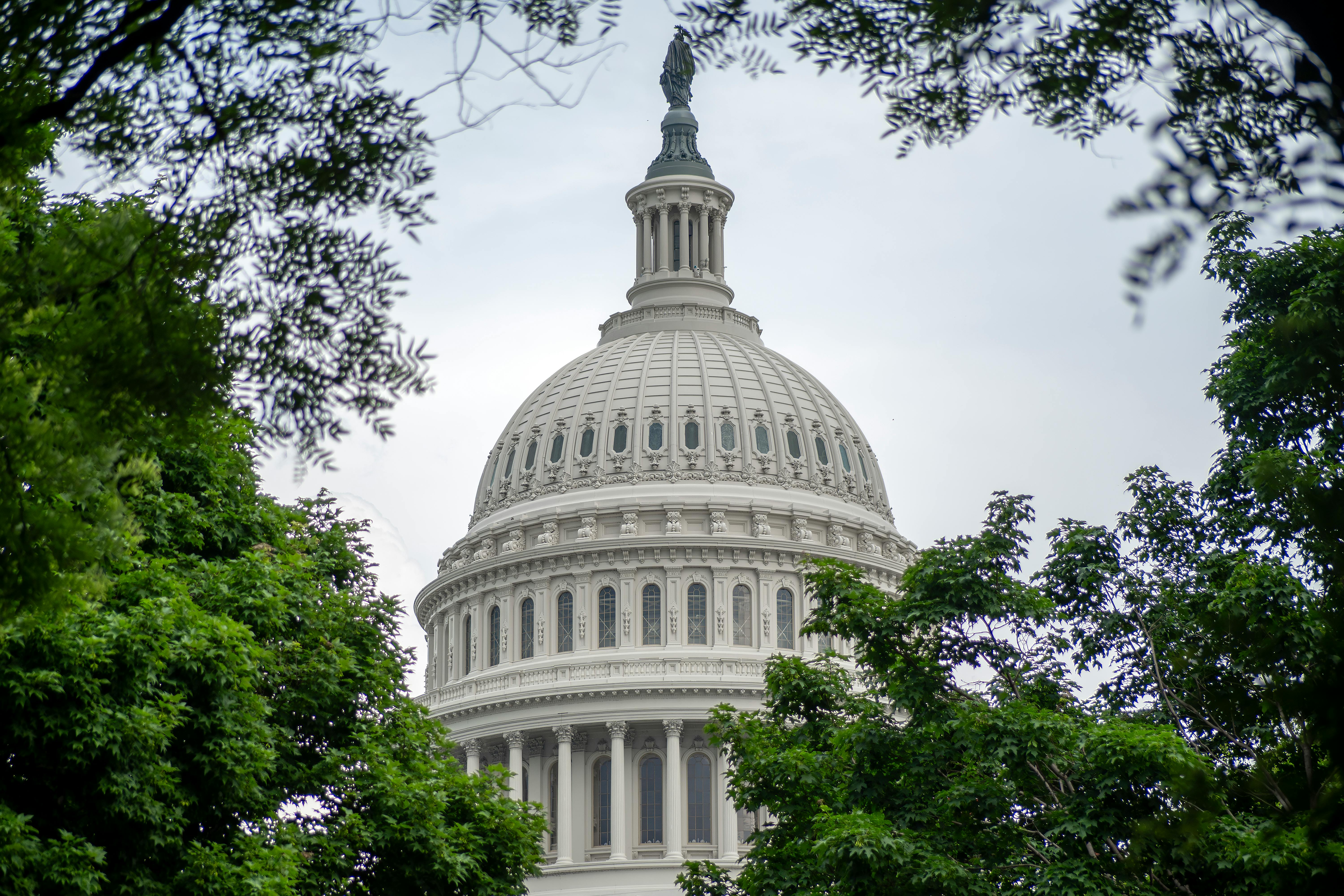 U.S. Capitol dome seen through trees, highlighting Neoclassical detailing and structure.
