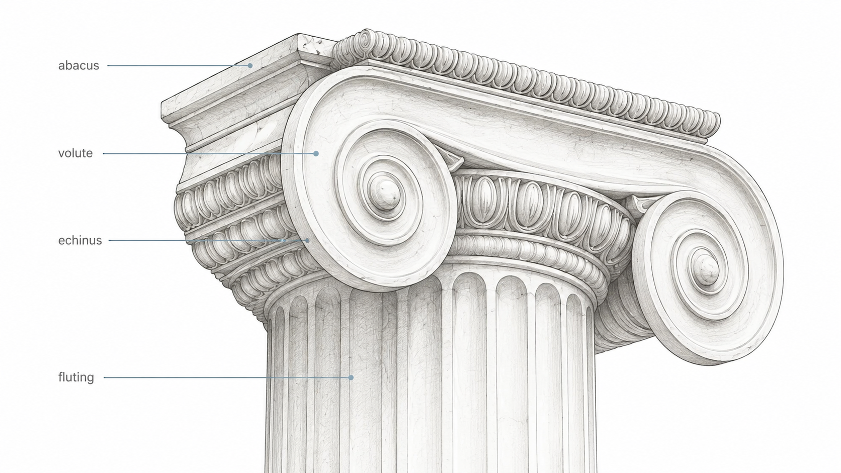 Ionic column capital diagram showing the abacus, volute, echinus, and fluted shaft.