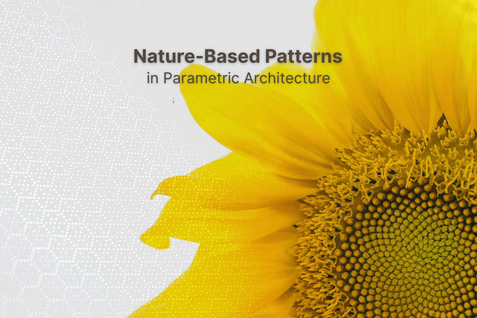 Nature-inspired patterns used in parametric architectural design.