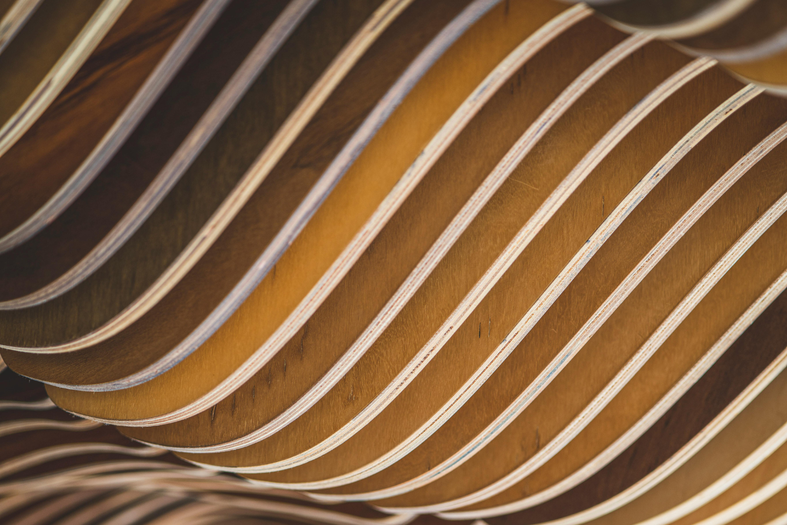 Wooden ceiling with parametric geometric patterning.