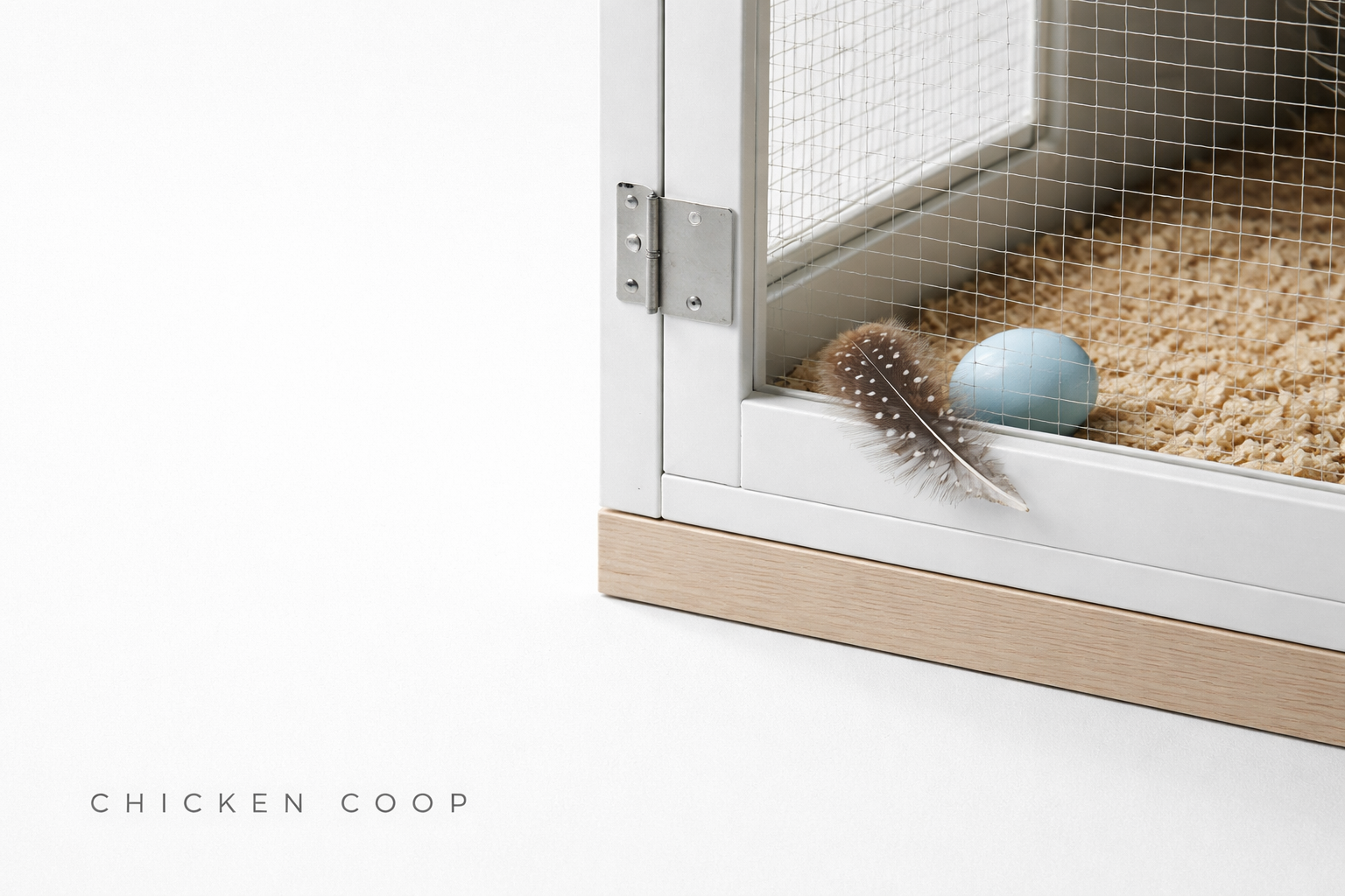 An egg and feather at chicken coop door corner on wood shavings.