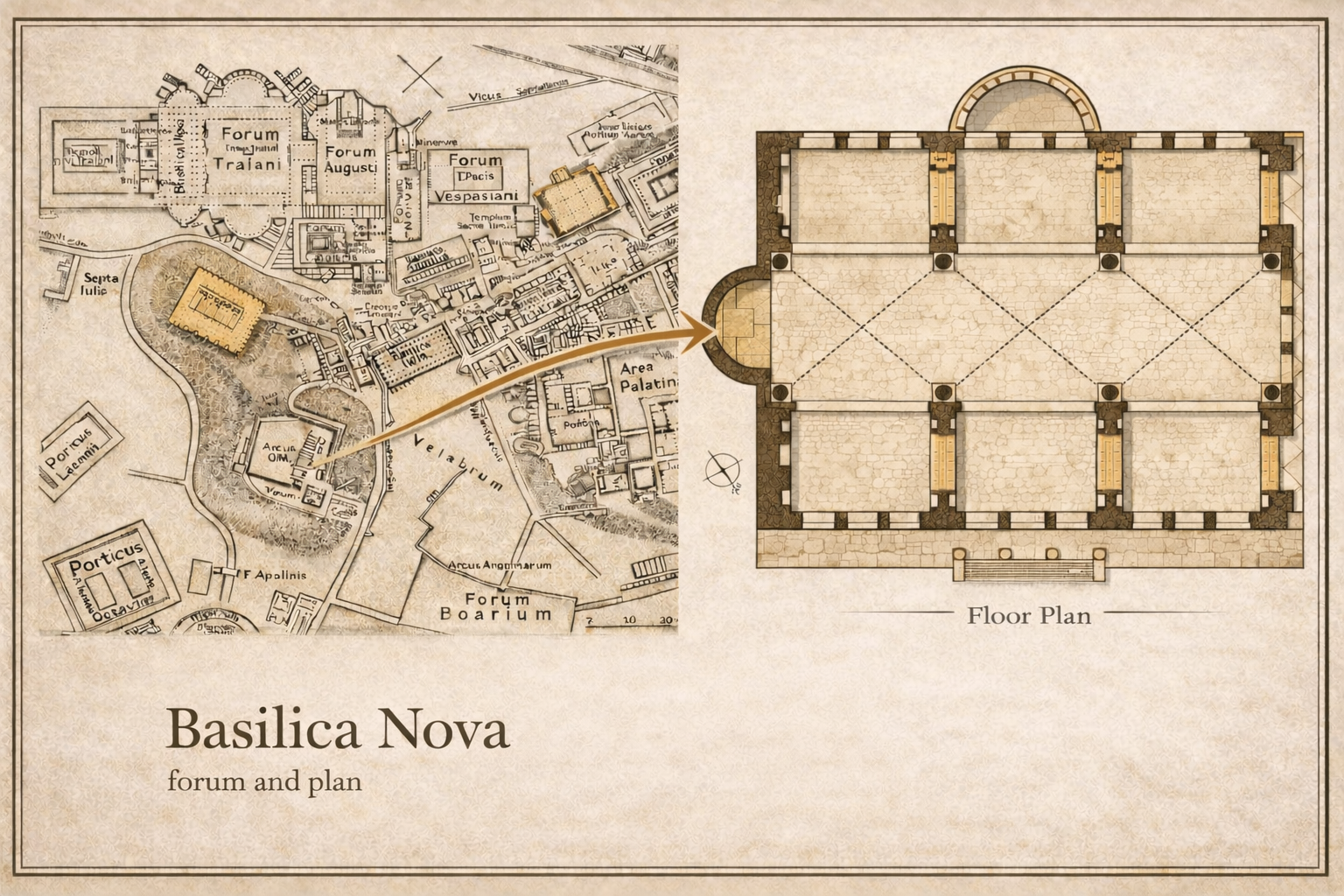 Archival diagram showing Basilica Nova in the Roman Forum with floor plan.