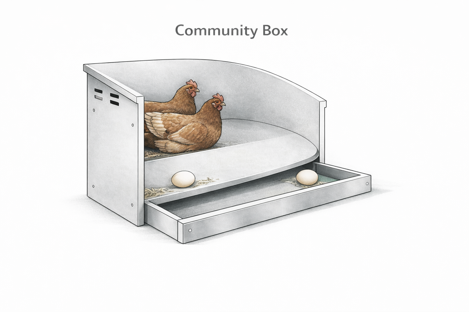 Community-style roll-away chicken nest box with shared nesting chamber and front egg tray.