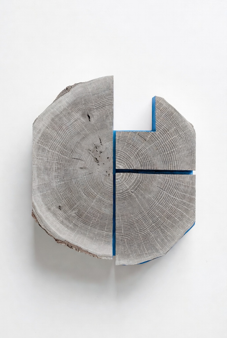 Cross-section of a hardwood log with cut segments showing growth-ring structure and board orientation.