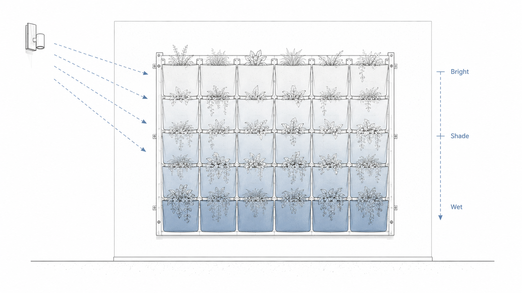 Vertical garden zoning diagram showing how light and moisture change from the top of the wall to the lower planting pockets.