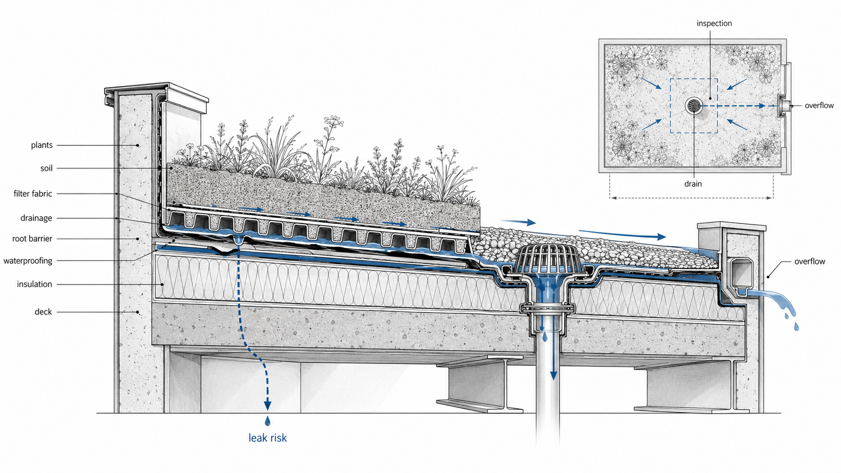 Green roof layer diagram showing deck, insulation, waterproofing, root barrier, drainage, filter fabric, growing medium, vegetation, drain, overflow, and leak risk.