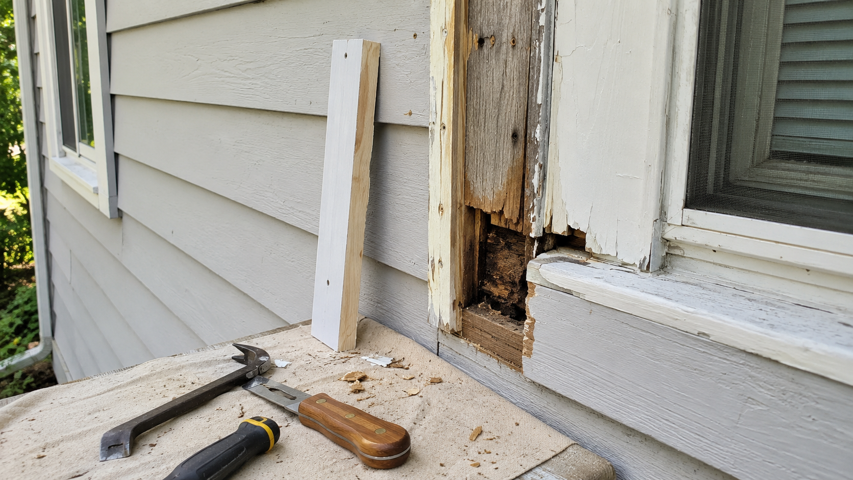 Partly removed rotten exterior trim exposing damaged backing.