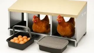 Brown triple roll-away nesting box with hen and side-view egg trays.