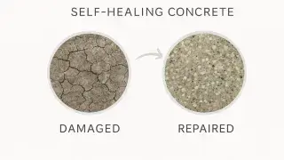 Comparison of cracked and healed self-healing concrete.