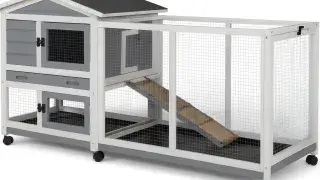 A modern simple chicken coop with a fresh layout, mesh sides, angled roof, and functional design for backyard poultry.