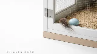 An egg and feather at chicken coop door corner on wood shavings.