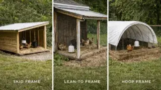 Three chicken shelter frame types: skid frame, lean-to frame, and hoop frame.