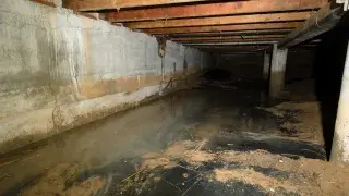 Standing water across a crawl space floor beneath joists and foundation walls.