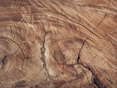 Refined brown hardwood surface, expertly finished for high-quality furniture making.