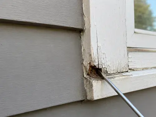 Awl checking soft rotten wood at window trim.