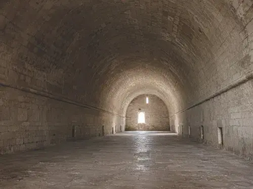 Long stone hall covered by a continuous barrel vault above thick masonry side walls.