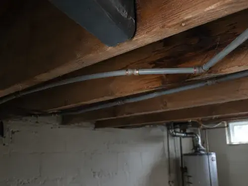 Gray polybutylene pipes running below exposed basement floor joists.