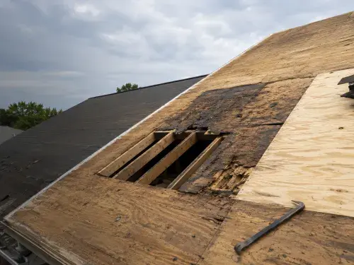 Damaged roof sheathing cut open during reroofing with new plywood installed beside it.