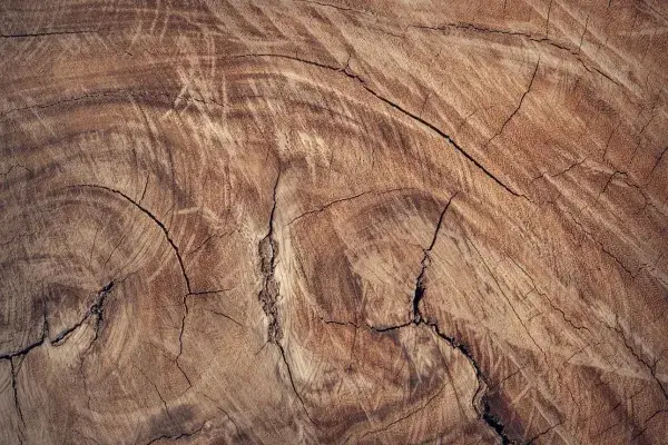 Refined brown hardwood surface, expertly finished for high-quality furniture making.
