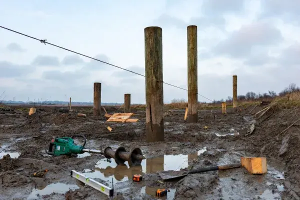 Timber piles being installed in muddy soft ground for a small DIY foundation project.