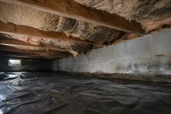 Wet sagging crawl-space insulation between floor joists above a wrinkled vapor barrier and stained foundation wall.